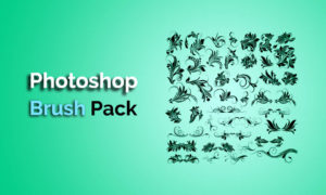 Read more about the article Photoshop Brush Pack